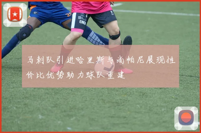 马刺队引进哈里斯与尚帕尼展现性价比优势助力球队重建